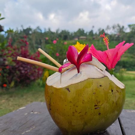 Ananda Homestay Lemukih Сингараджа Экстерьер фото